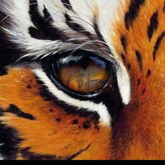 Meet your Posher, Chuck - Picture 1 of 1